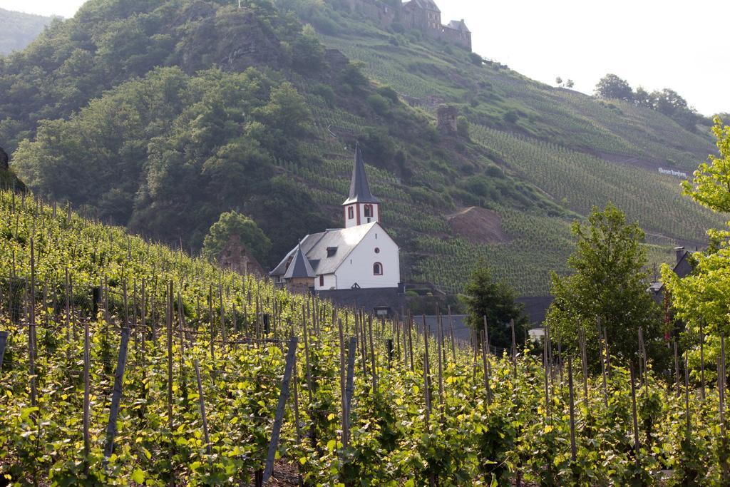Winzerhof Brachtendorf 알켄 외부 사진