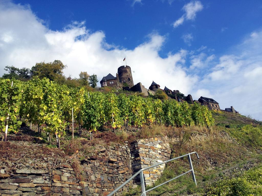 Winzerhof Brachtendorf 알켄 외부 사진