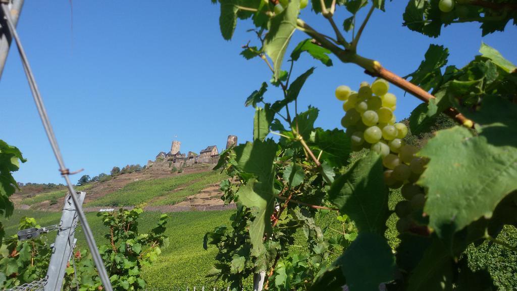 Winzerhof Brachtendorf 알켄 외부 사진