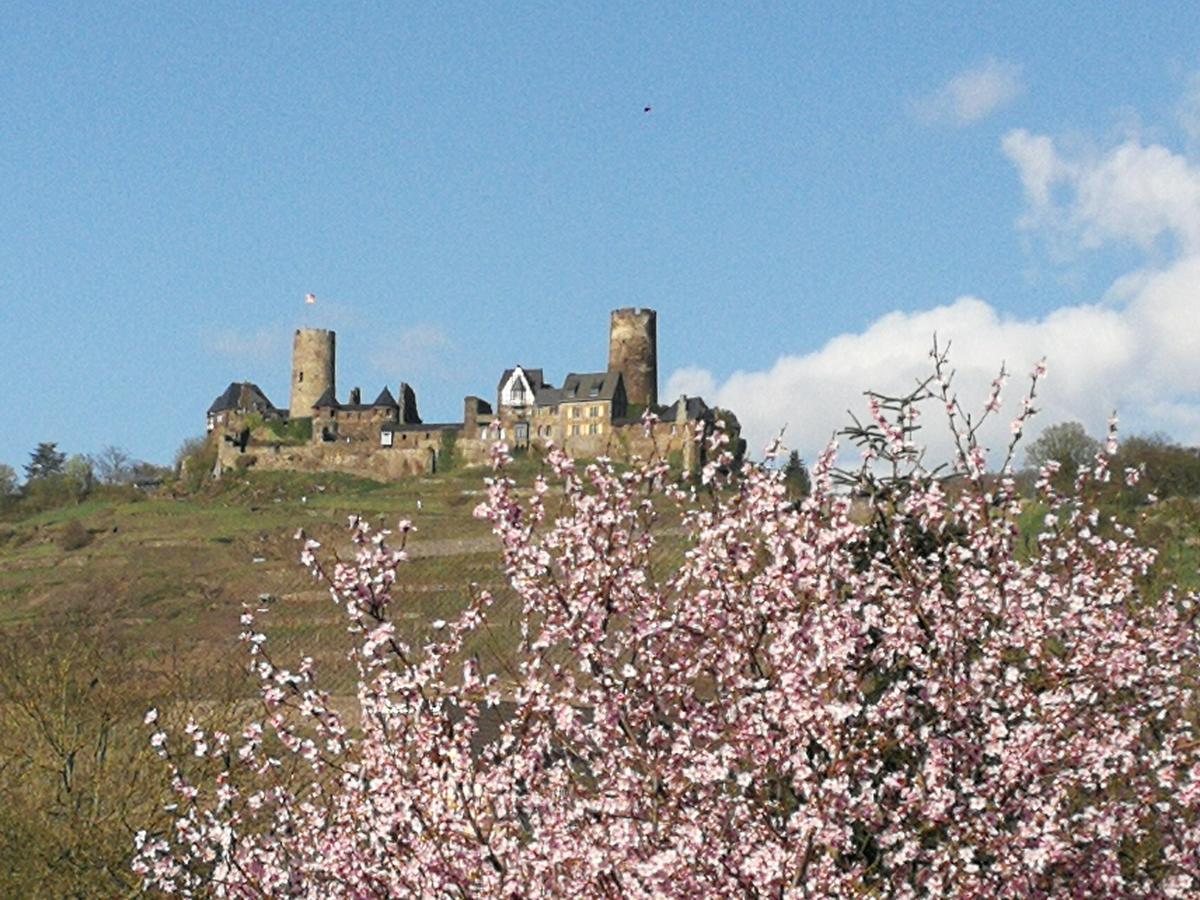 Winzerhof Brachtendorf 알켄 외부 사진